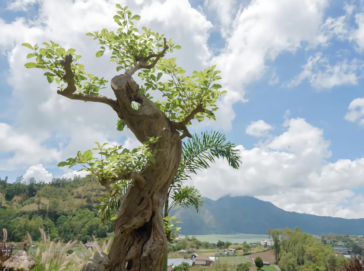 Batur Cliff Panorama Villa Baturaja  Eksteriør billede